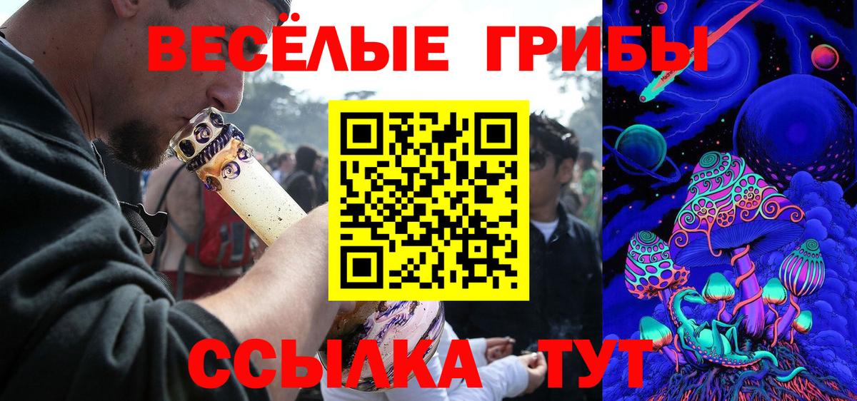 Псилоцибиновые грибы Magic Shrooms Курганинск