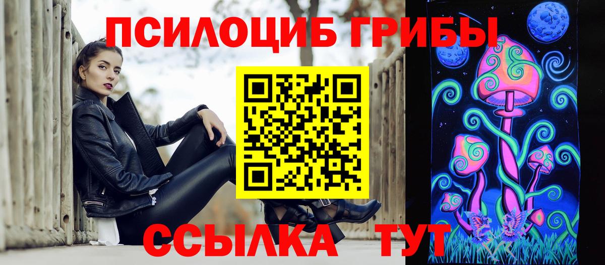 Галлюциногенные грибы Psilocybe  Галлюциногенные грибы Psilocybe  Вход с VPN  Курганинск 